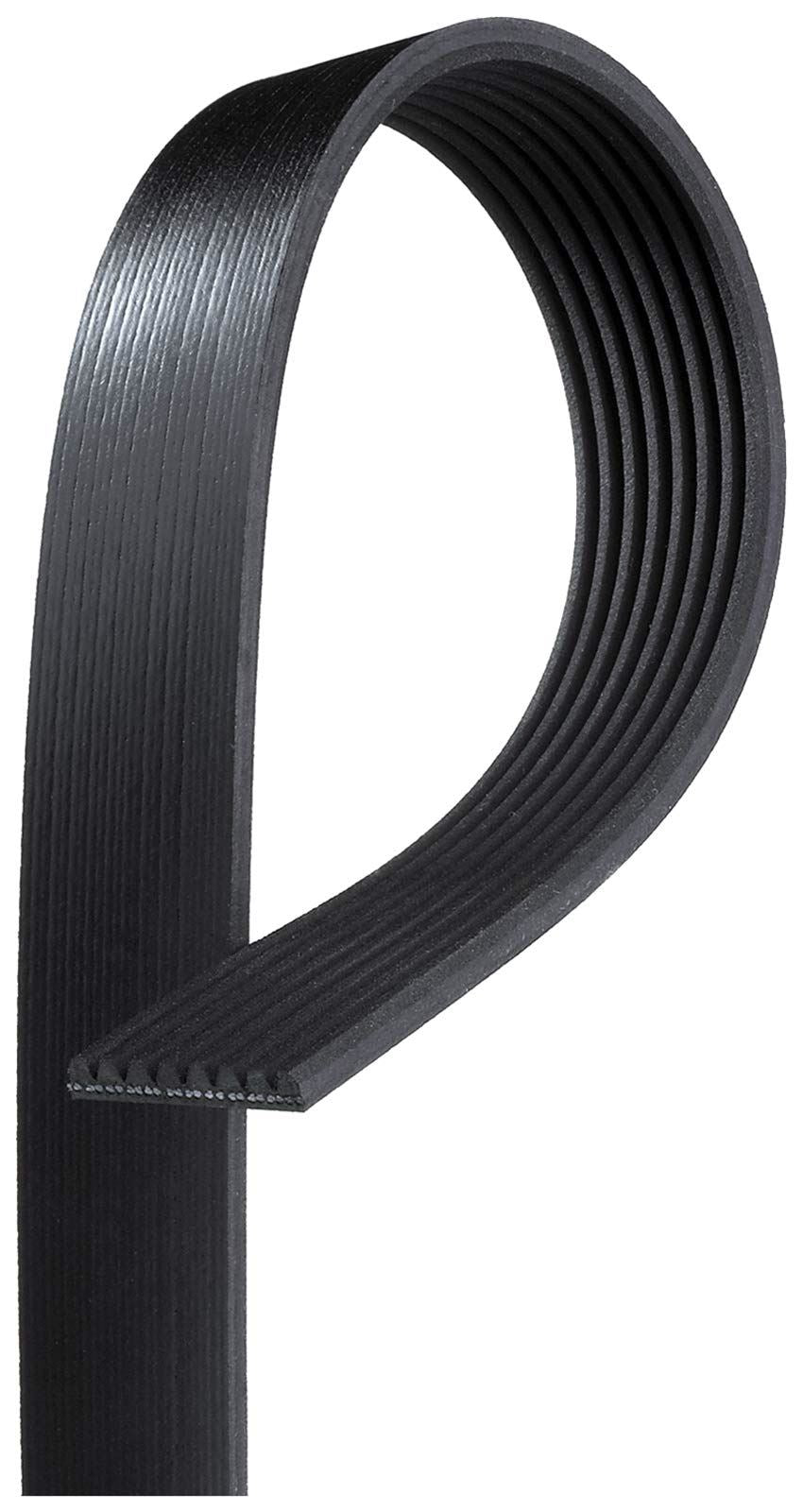 Gates K080991 Ceinture serpentine