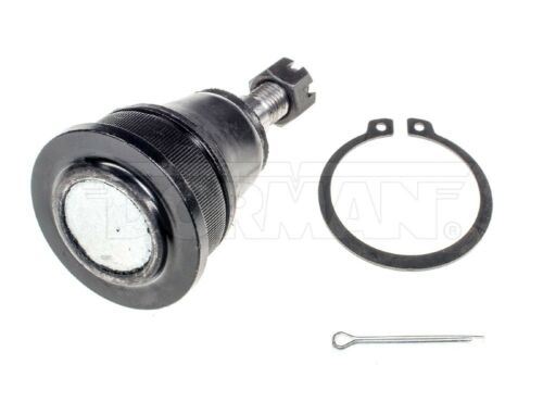 Dorman BJ81325PR