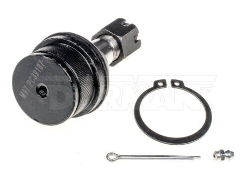 Dorman B7401PR Rótula de suspensión