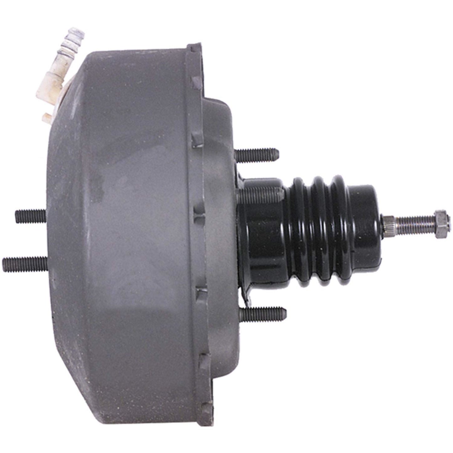 CARDÓN 532260