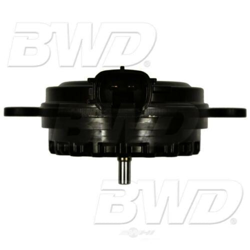 BWDVV1279