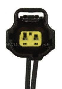 BWD PT2022