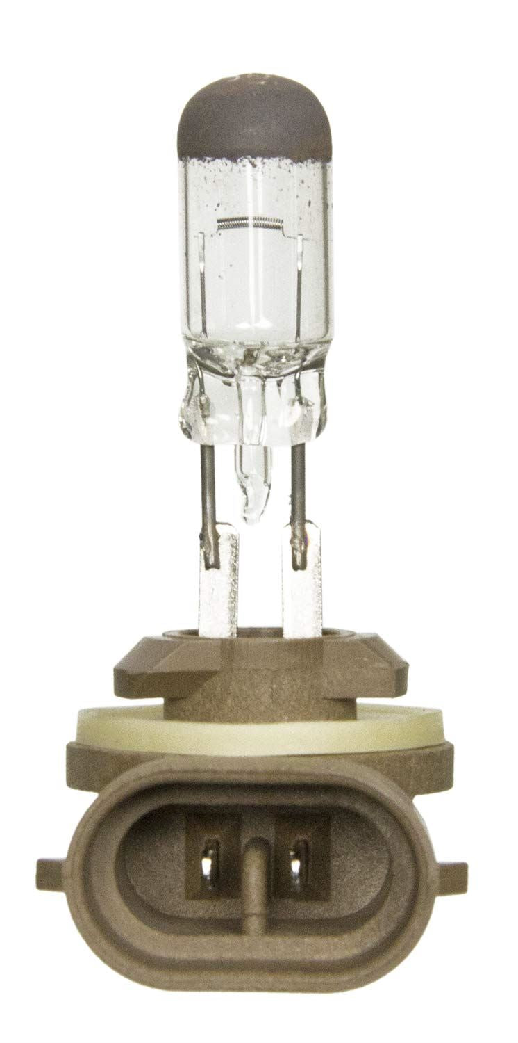 Bombilla para luz antiniebla Wagner BP881