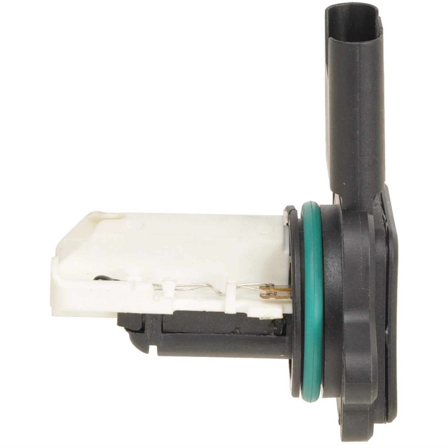 CARDÓN 8650082