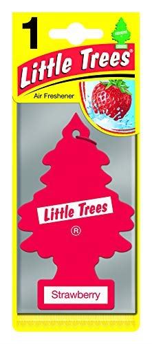Car-Freshner 10312