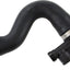 REIN CHR0186