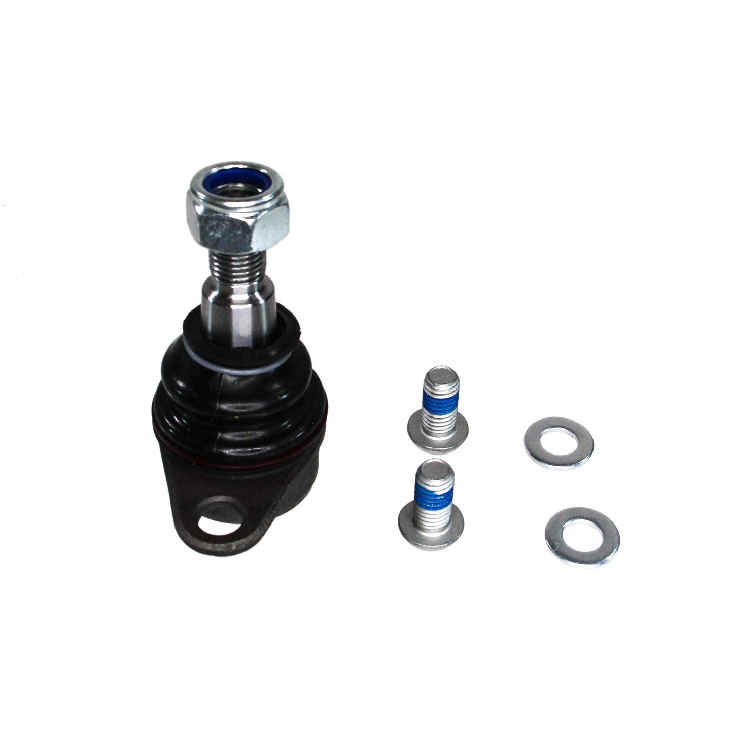 REIN SCB0097P