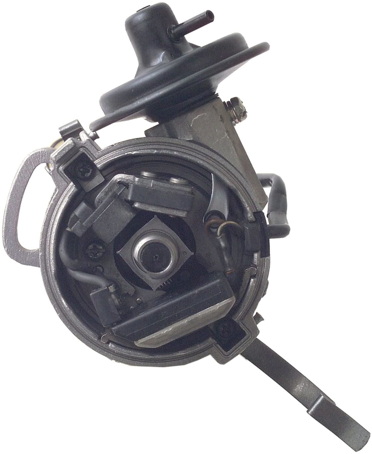CARDÓN 31525