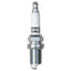 Champion 344 (Pack of 4)