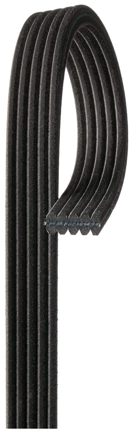 ACDelco Professional 5DK610 Serpentine Belt