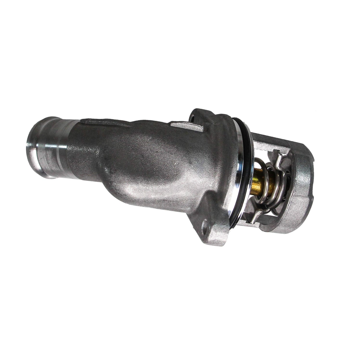 REIN CTA0013