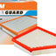 Filtro de aire Fram CA10465