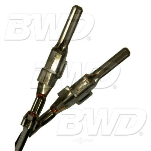 BWD TCS248