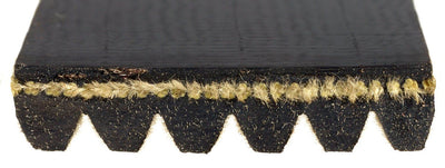 ACDelco Professional 6K916A Courroie serpentine