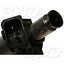 BWD 67184 Fuel Injector