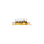 BUSSMANN BPAGC25RP
