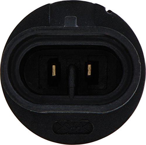 Philips 880CVB1 Fog Light Bulb