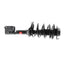 KYB SR4219 Suspension Strut and Coil Spring Assembly