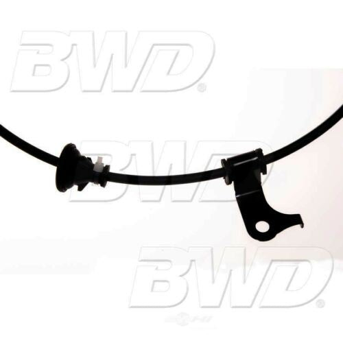 BWD ABH35 ABS Wheel Speed Sensor Wiring Harness