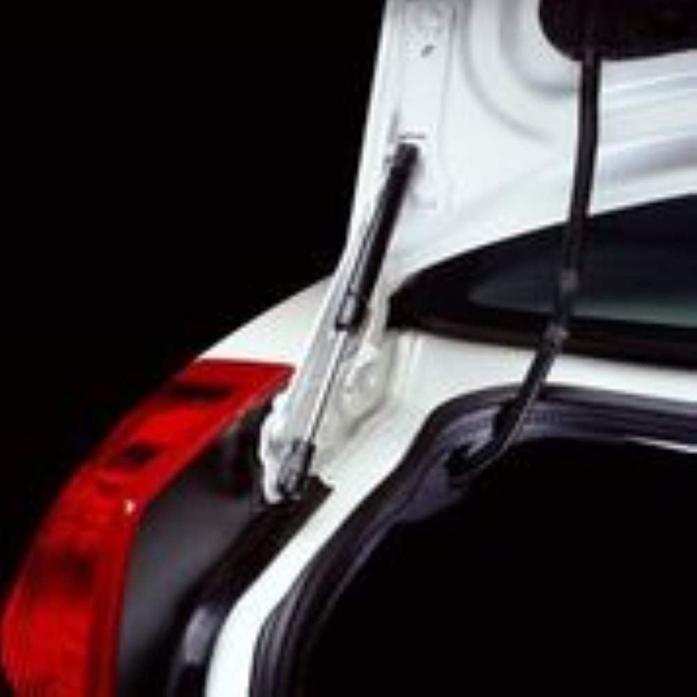 STRONGARM LIFT SUPPORTS E4502