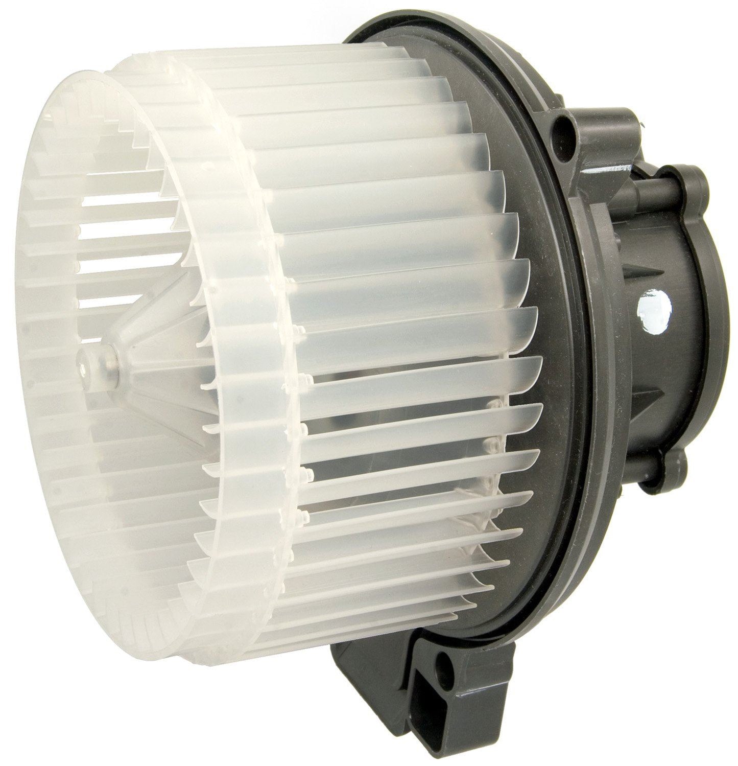 Four Seasons 75800