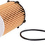 Fram CH10855 Engine Oil Filter
