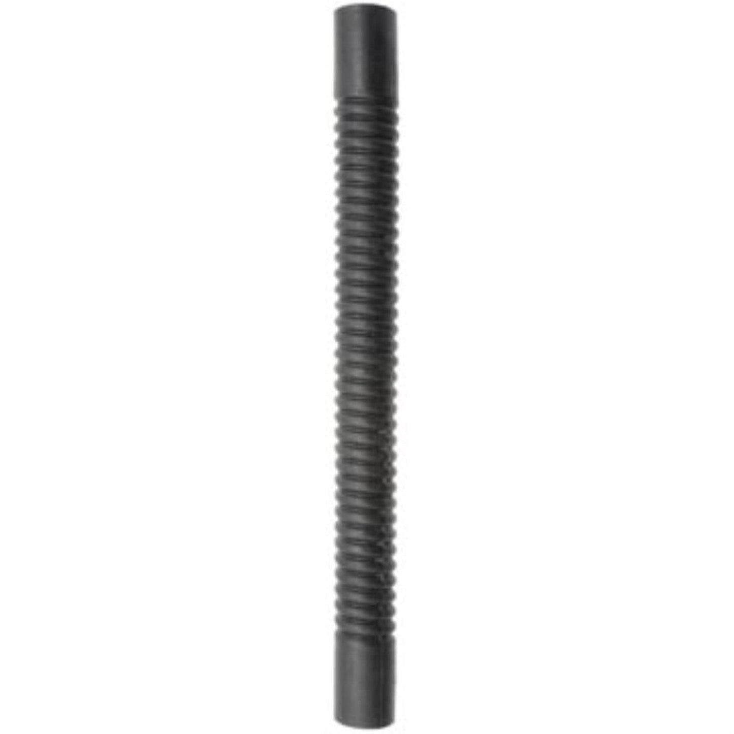 Dayco 81181