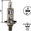 Hella H71070642 Headlight Bulb