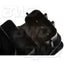 BWD E691 Ignition Coil