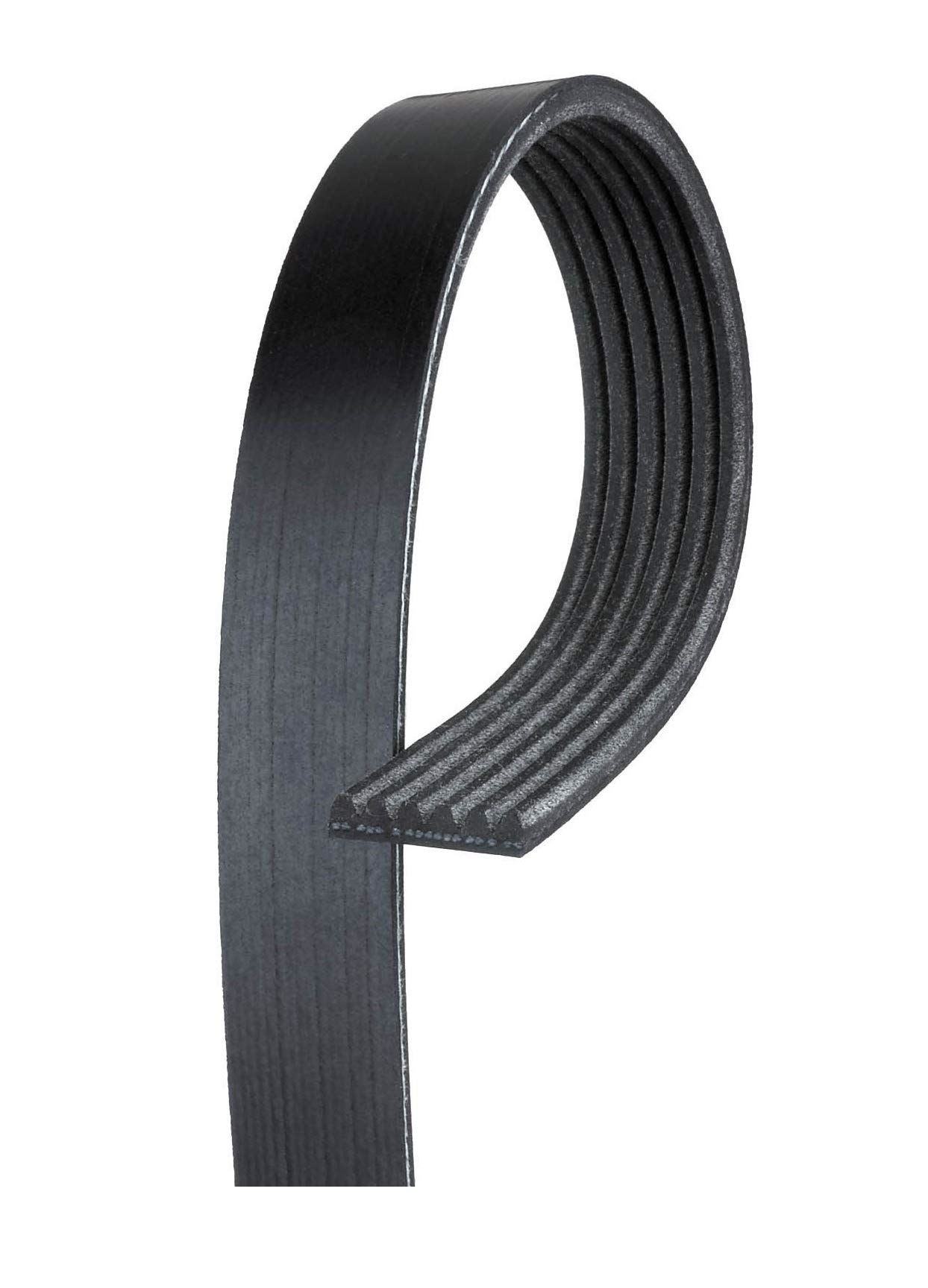 Gates K060975 Serpentine Belt