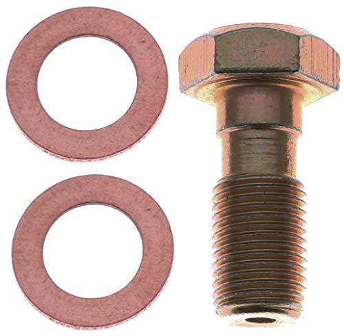 Perno banjo hidráulico de freno Raybestos H5387