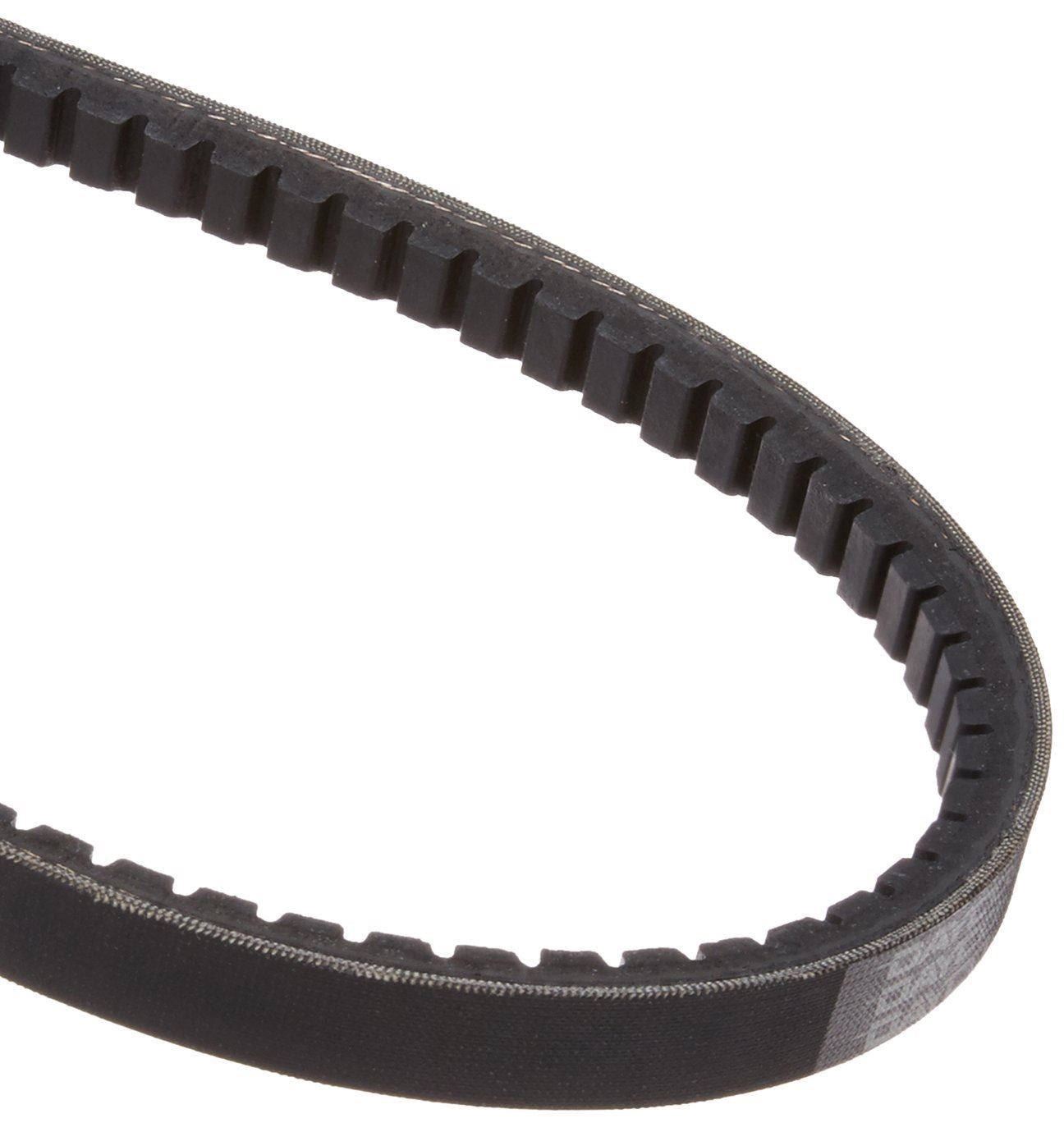 Dayco BX59