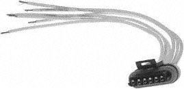BWD PT338 Headlight Connector