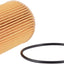 Filtro de aceite del motor Fram CH10515