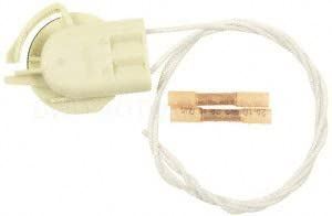 BWD PT1219 Cornering Light Socket