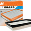 Fram CA10741 Air Filter