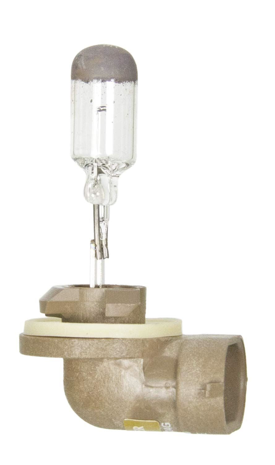 Bombilla para luz antiniebla Wagner BP881