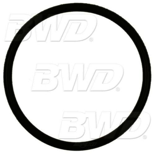 BWD RGD21 Fuel Pump O-Ring