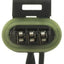 Conector del sensor de presión absoluta del colector BWD PT1238