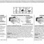 CRUISER ACCESSORIES 63350
