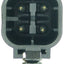 NGK 23007 Sensor de Oxígeno
