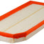 Fram CA10256 Air Filter