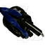 BWD CS1134L Ignition Lock Cylinder