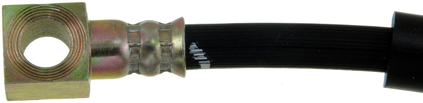 Dorman H38160