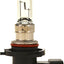 Bombilla para faros delanteros Philips 9005VPB1