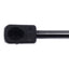 STRONGARM LIFT SUPPORTS D6557