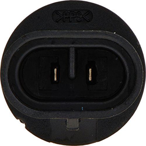 Philips 899B1 Ampoule antibrouillard