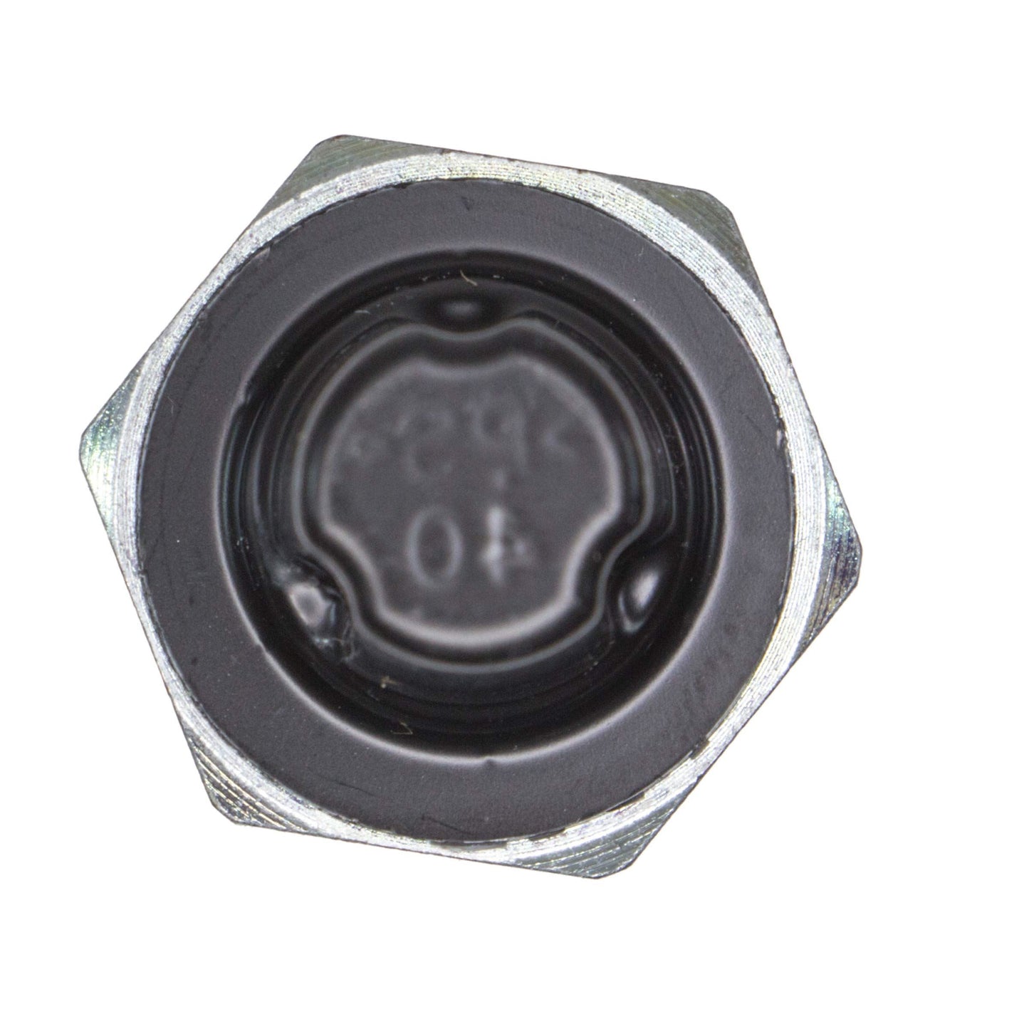 REIN ELP0078