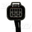 Conector del módulo de luz de circulación diurna BWD PT2242
