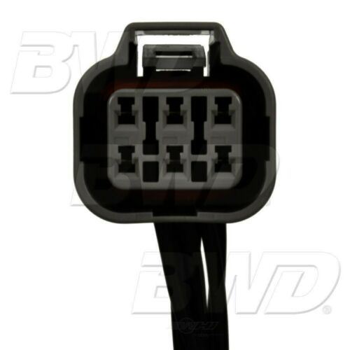 Conector del módulo de luz de circulación diurna BWD PT2242